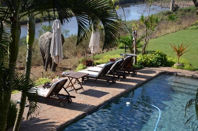 Khandizwe Kruger Villa Малелане Номер фото